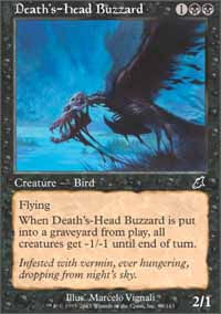 Death's-Head Buzzard - 