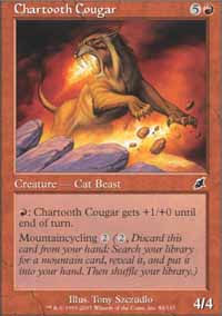 Chartooth Cougar - 