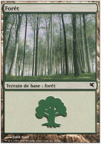 Fort - 
