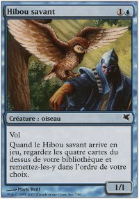 Hibou savant - 