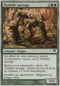 Thallid sauvage - 