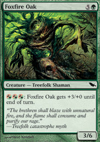 Foxfire Oak - 