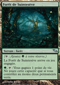 Forêt de Suintesève - 