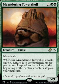 Meandering Towershell - 