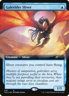 Galerider Sliver - 