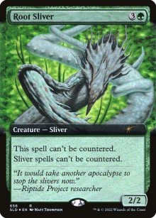 Root Sliver - 