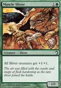 Muscle Sliver - Premium Deck Series: Slivers