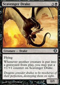 Scavenger Drake - 