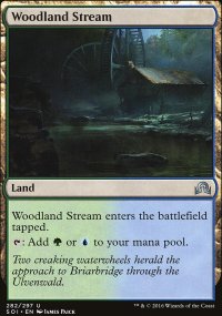 Woodland Stream - Shadows over Innistrad