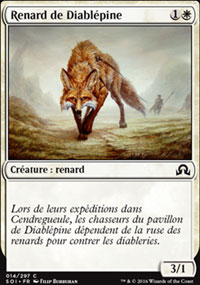 Renard de Diablpine - 