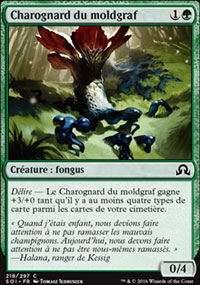 Charognard du moldgraf - 