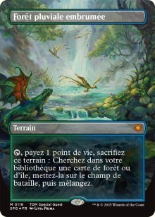 Fort pluviale embrume - Special Guests