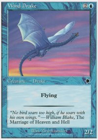 Wind Drake - 