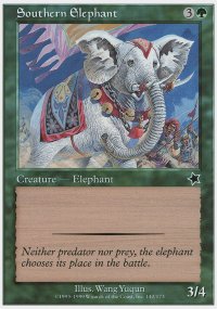 Southern Elephant - 