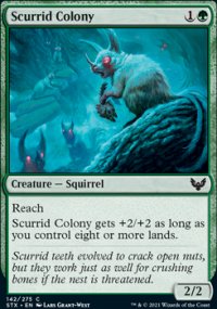 Scurrid Colony - 