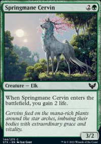 Springmane Cervin - 