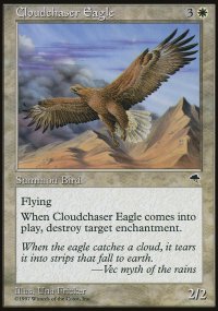 Aigle chasse-nuages - 