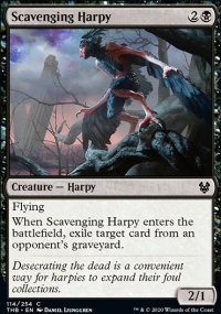 Scavenging Harpy - 