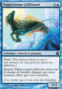 Hippocampe jaillissant - 