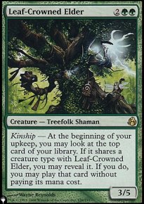 Leaf-Crowned Elder - 
