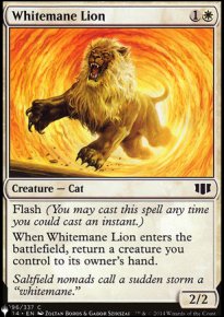 Lion  crinire blanche - The List