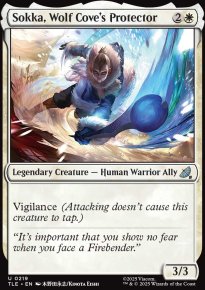 Sokka, protecteur de la Crique du loup - Avatar: The Last Airbender Eternal-Legal