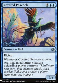 Coveted Peacock - 