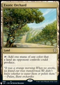 Exotic Orchard - 