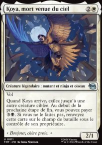 Koya, mort venue du ciel - Teenage Mutant Ninja Turtles