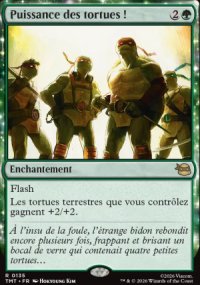 Puissance des tortues�! - Teenage Mutant Ninja Turtles