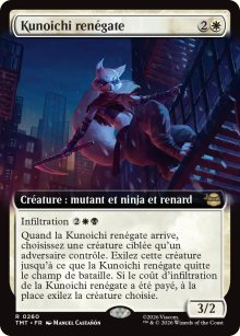 Kunoichi ren�gate - Teenage Mutant Ninja Turtles