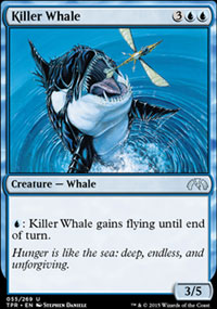 Killer Whale - 