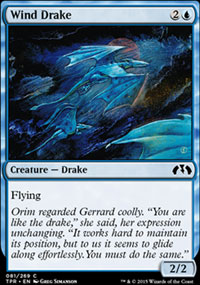 Wind Drake - 