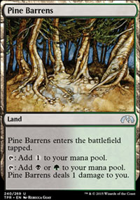 Pine Barrens - 