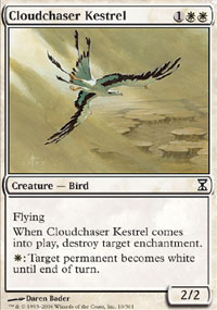 Cloudchaser Kestrel - 