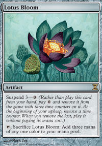 Floraison de lotus - 