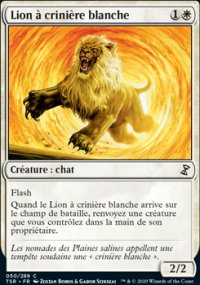 Lion  crinire blanche - 