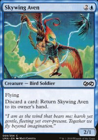 Skywing Aven - 