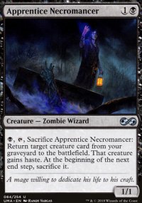 Apprentice Necromancer - 