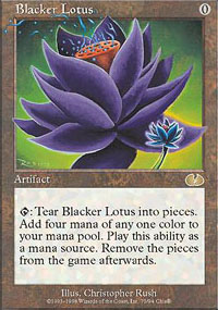 Lotus plus noir - 