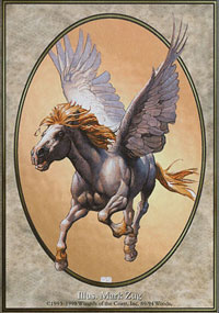 Pegasus - 