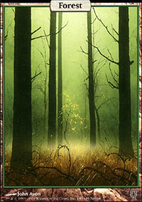 Forest - 