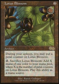Fleur de lotus - 