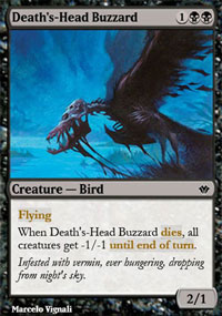 Death's-Head Buzzard - 