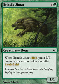 Brindle Shoat - Vintage Masters