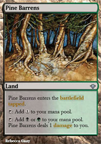 Pine Barrens - 