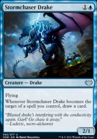 Stormchaser Drake - 