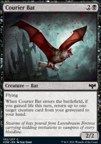 Courier Bat - 