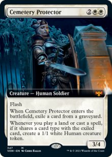 Cemetery Protector - 