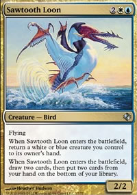 Sawtooth Loon - 